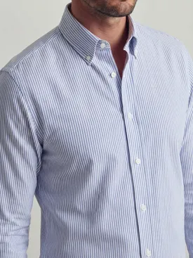 Striped navy blue Oxford Shirt
