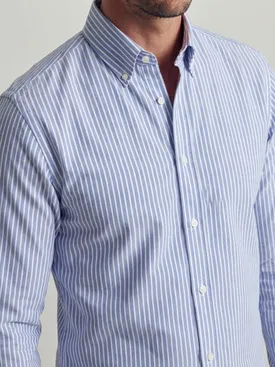 Striped royal blue Oxford Shirt
