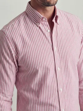 Striped red Oxford Shirt